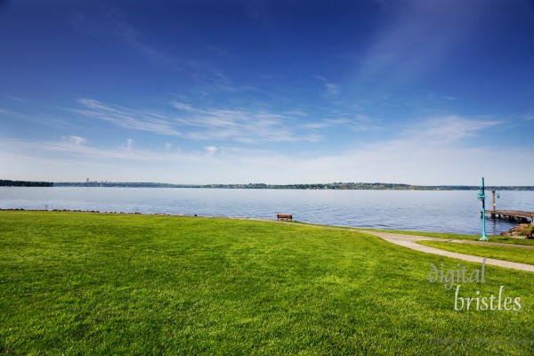 Park on Lake Washington on a sunny Spring morning