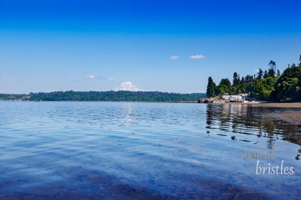 Mount Rainier reflected in the waters of the southern end of Puget Sound