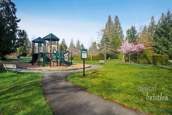 Play equipment in a neighborhood park