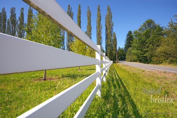 Pasture fence next to a country road on a sunny summer afternoon