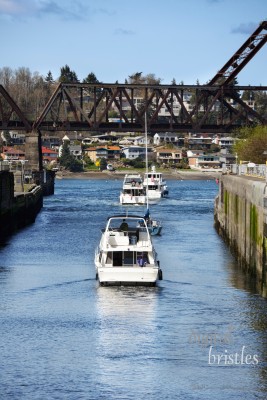 Pleasure boats leaving the upstream end of the Ballard Locks, Seattle