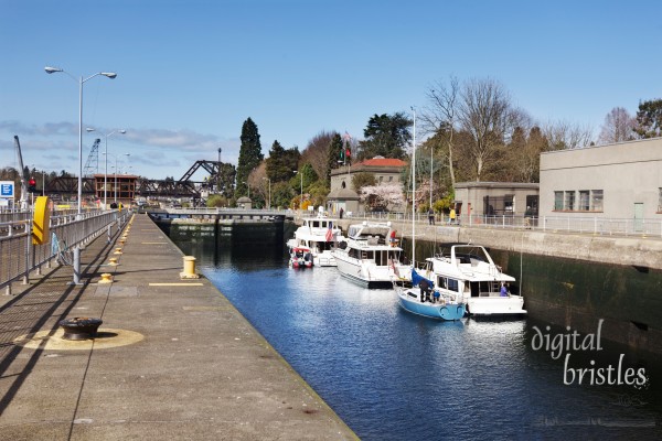 Ballard Locks