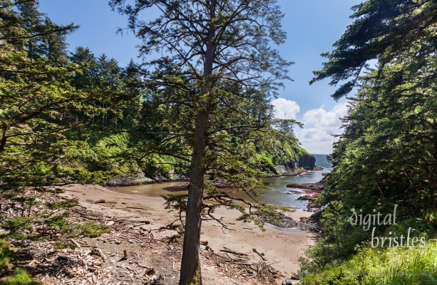 Deadman's Cove, viewed from the north side of the beach, Long Beach, Washington
