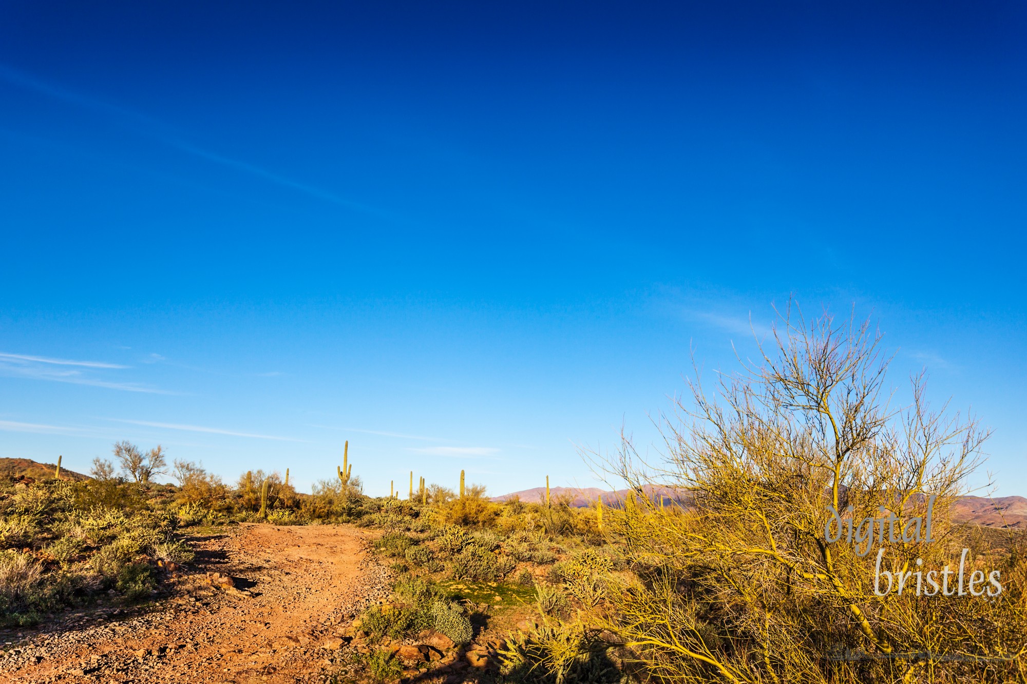 Dirt road through the desert in Table Mesa recreation area and the Bradshaw Mountains north of Phoenix, Arizona