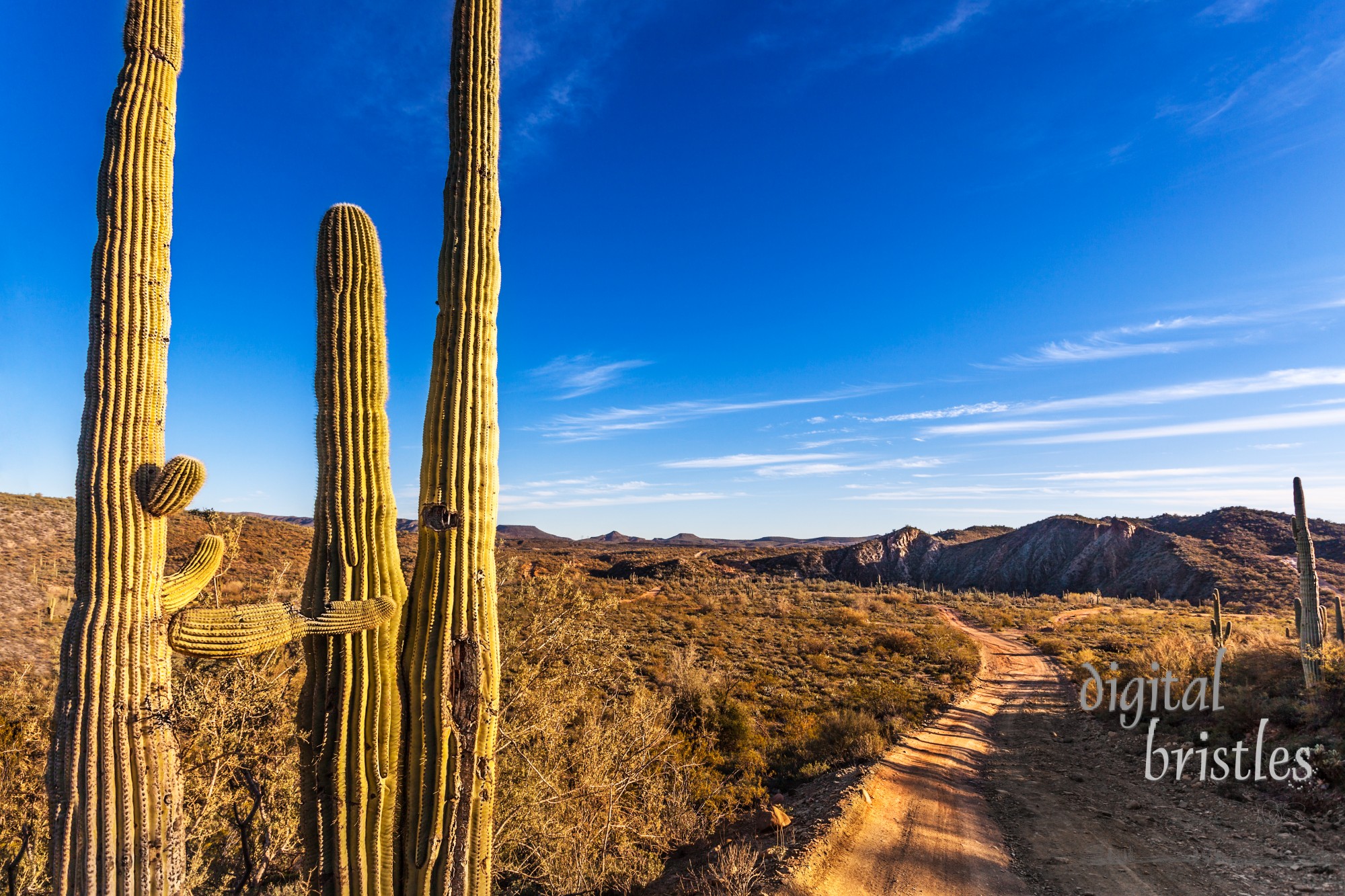 Rough dirt road through the Arizona desert north of Phoenix late on a Winter afternoon