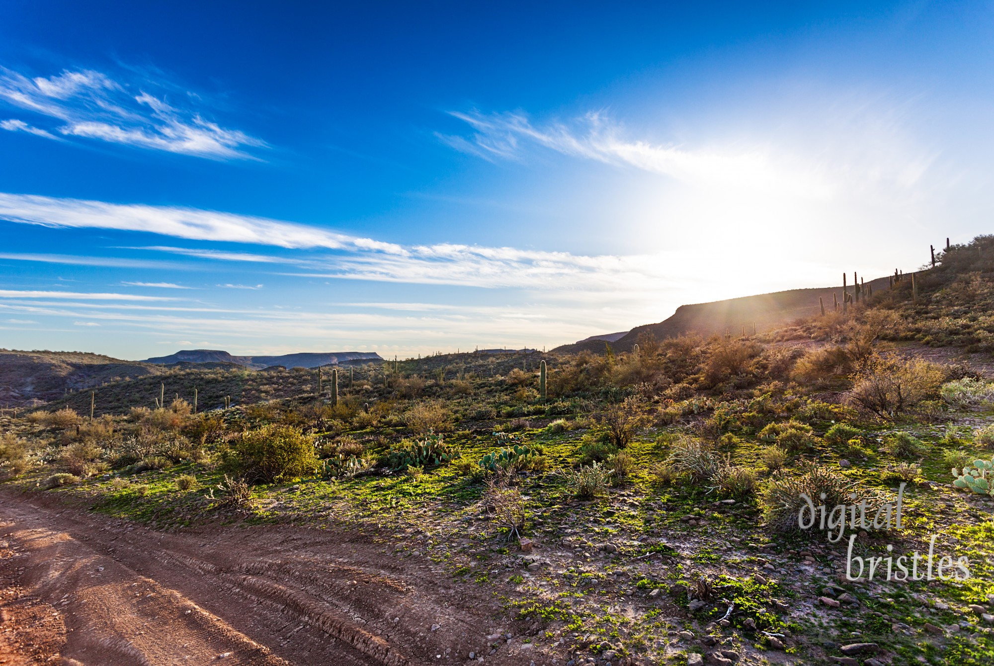 Arizona desert off road track in the Bradshaw Mountains with late winter afternoon sunshine