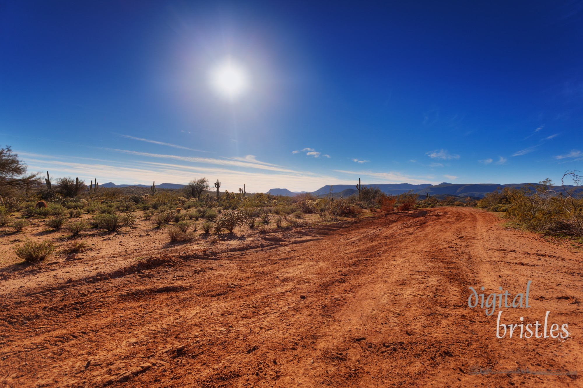 Dirt road through Arizona desert just outside Scottsdale