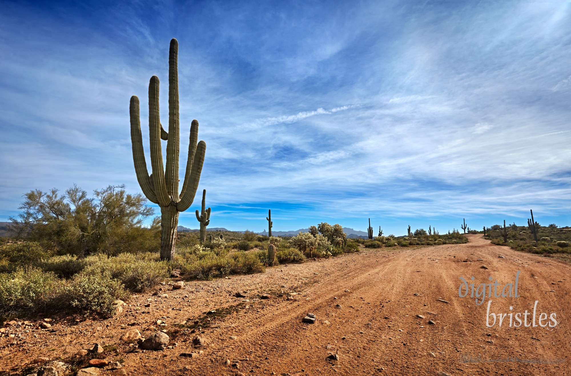 Unpaved roads through the Four Peaks Wilderness Area, Tonto National Forest, Arizona