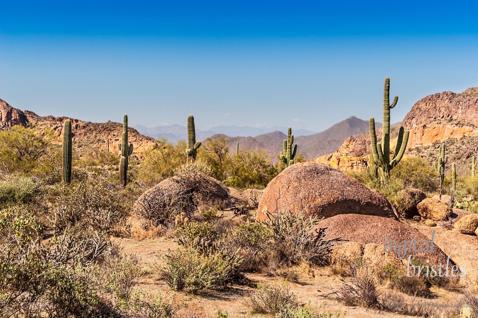 Saguaro, cactus, rocks and mountains of the Tonto National Forest, Arizona