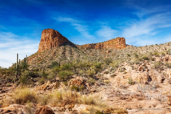 Arizona Arizona