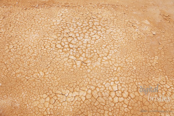 Cracked and dry red-brown earth