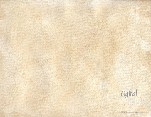 Stained textured watercolor paper