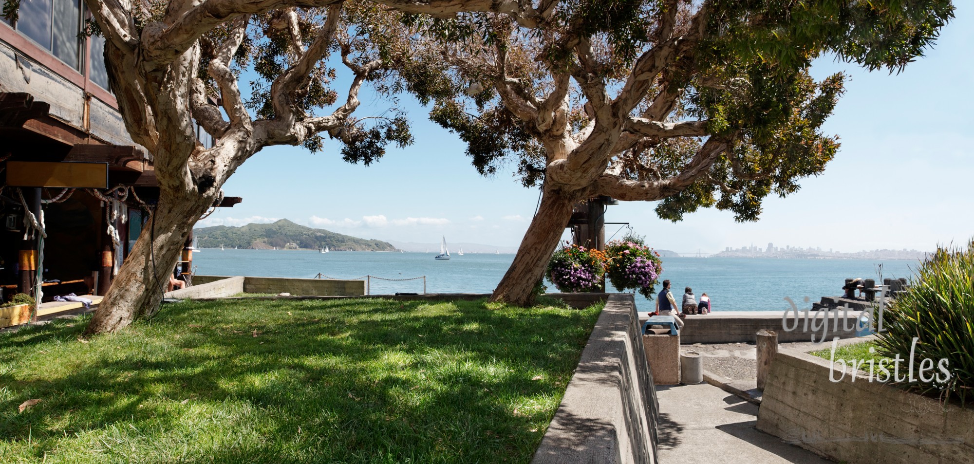 Hanging out on the waterfront in Sausalito, California