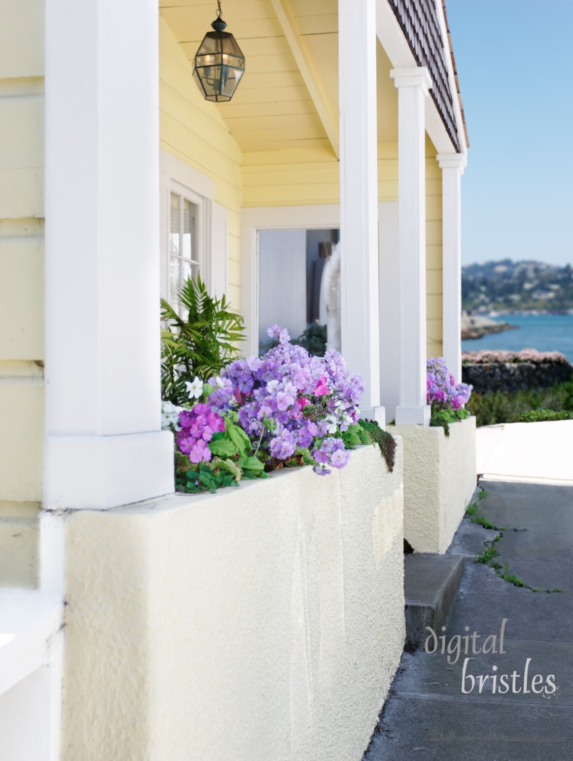 Pretty beach side cottage, Sausalito, California