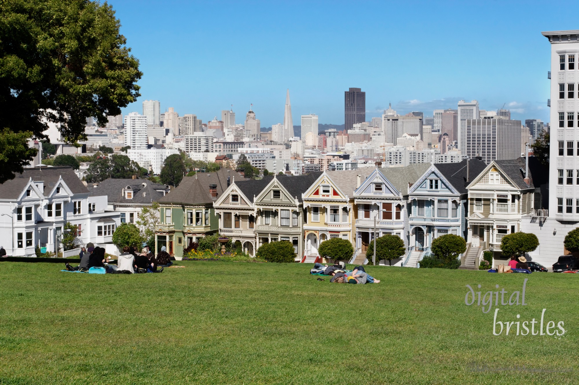 View of downtown San Francisco from Alamo Square Park over the famous painted ladies