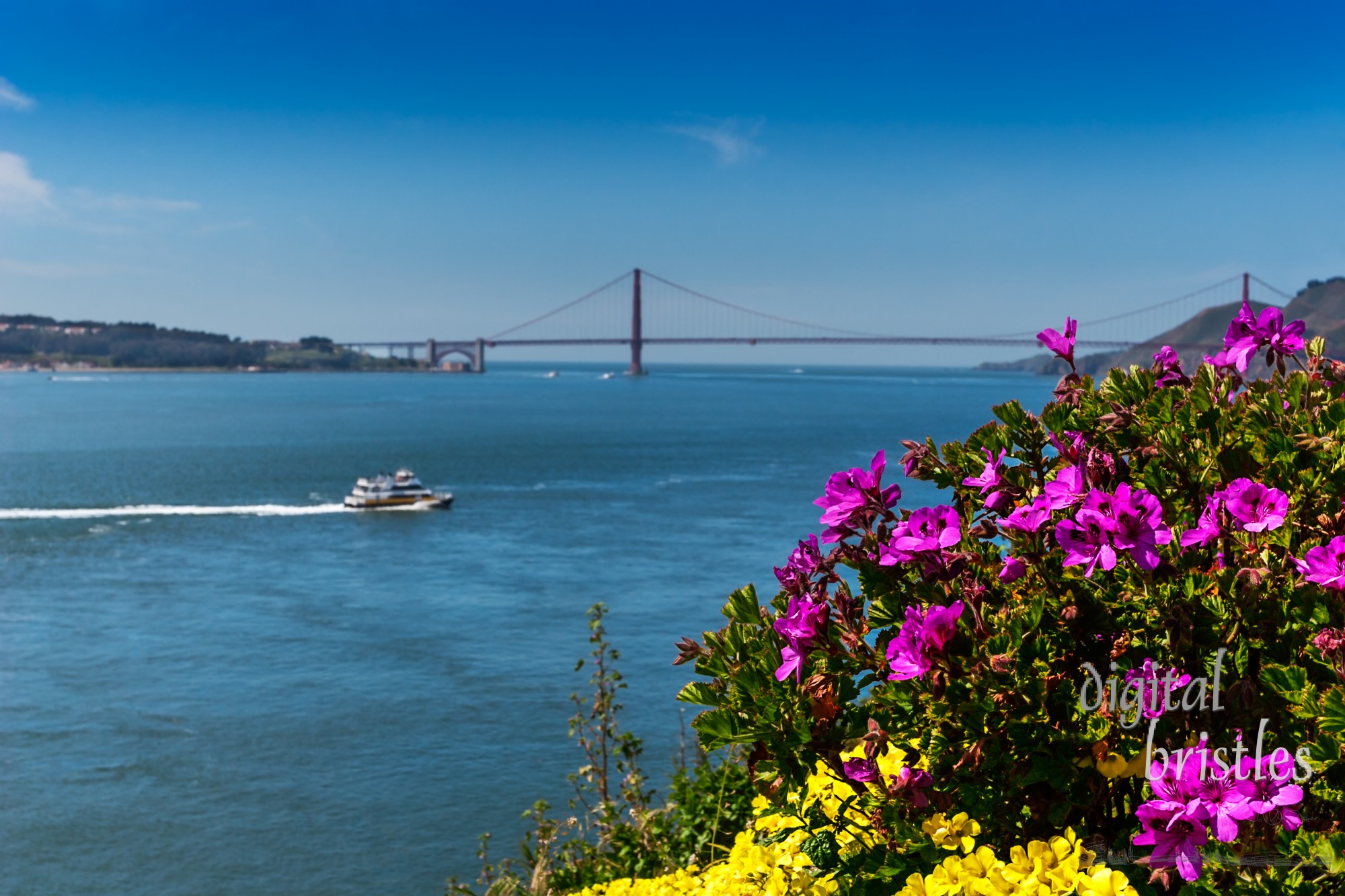 View of the Golden Gate Bridge from the Prisoner Gardens at Alcatraz, San Francisco, California