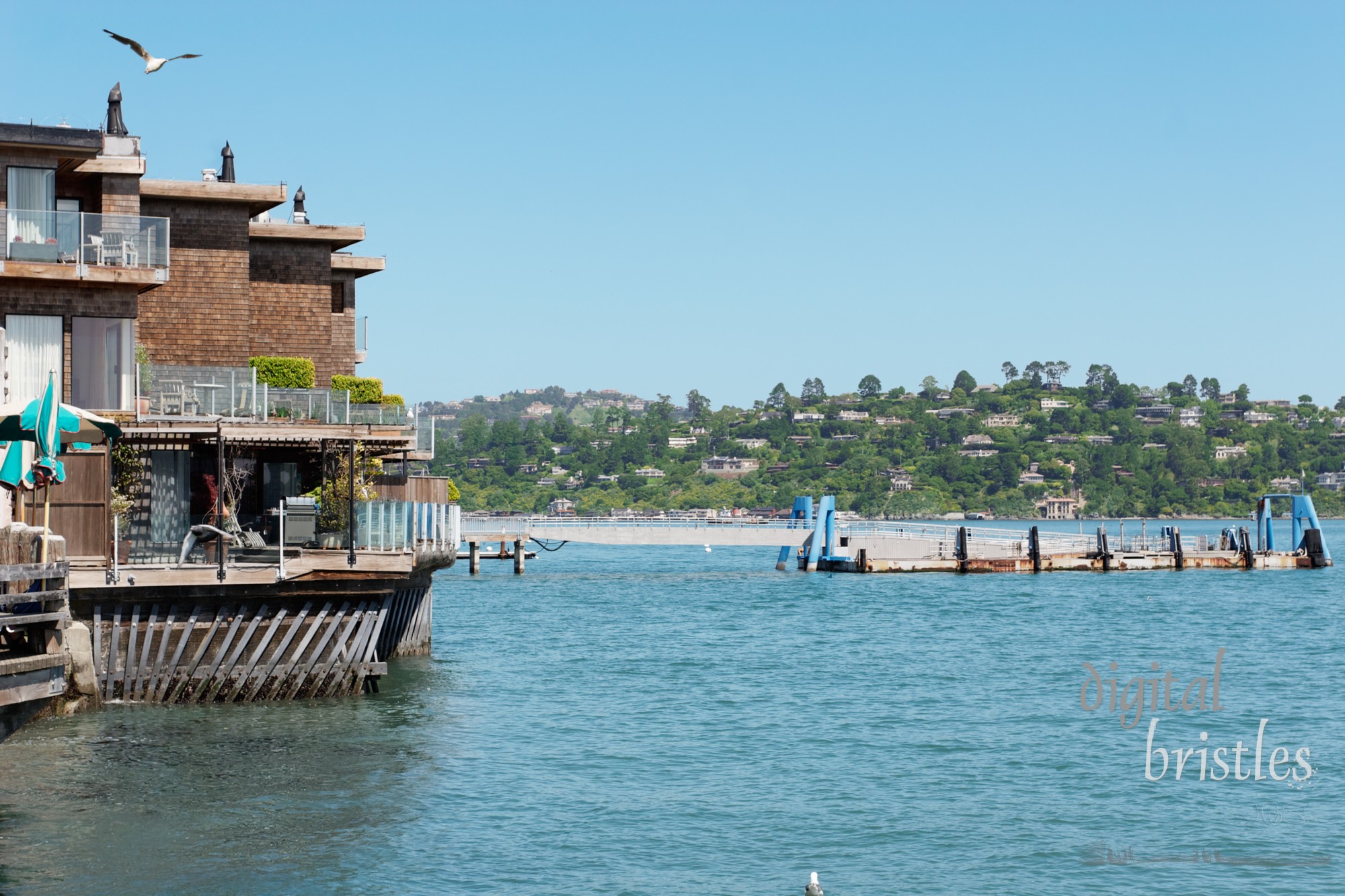 Bayfront condos by the ferry dock, Sausalito, California