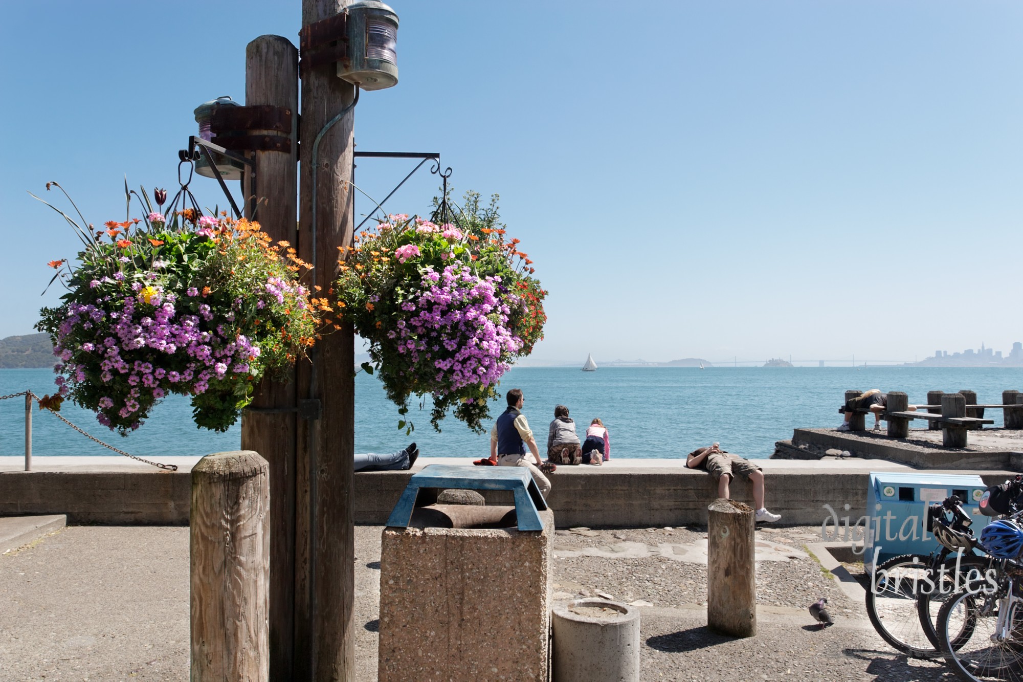 Taking in the view across the bay from Sausalito