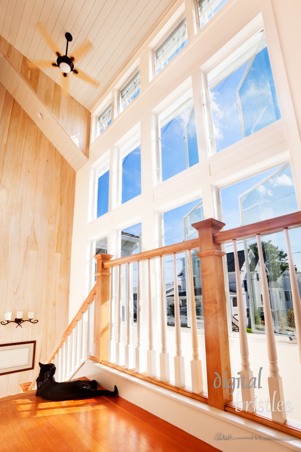 A black cat basks in the sun from huge windows at the top of a staircase