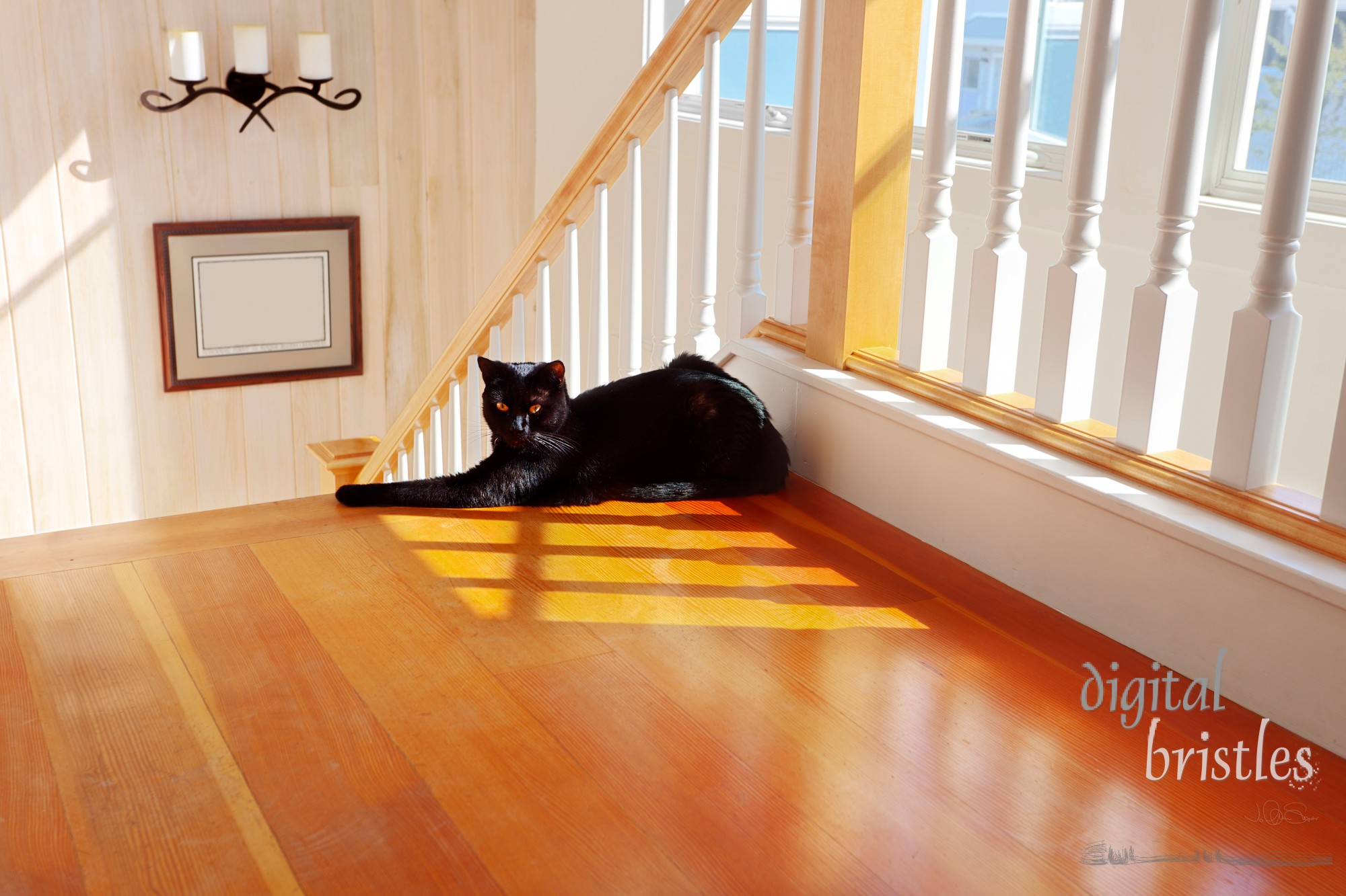 A black cat protectively guards the top of a staircase