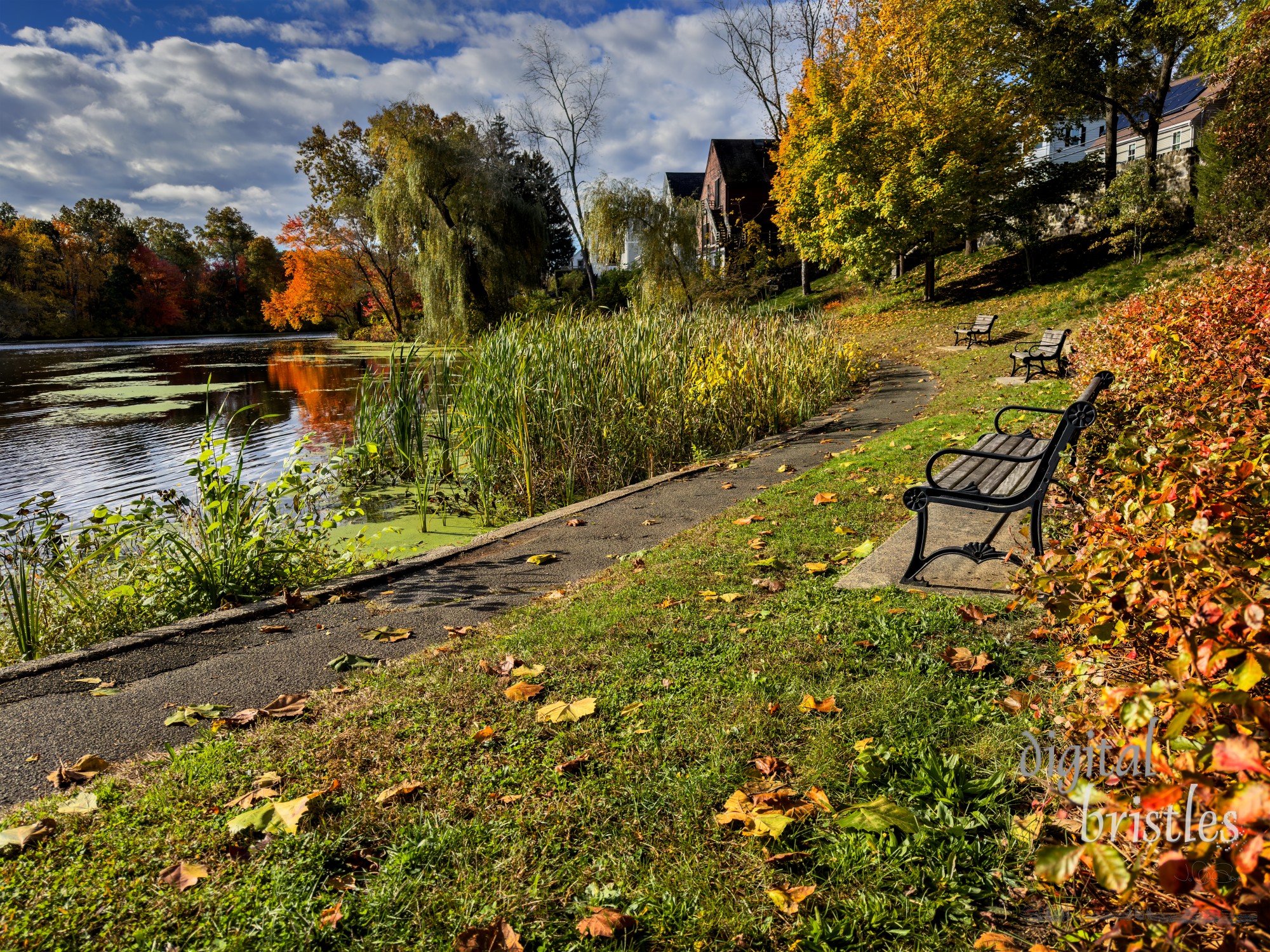 South Natick Dam Park on a brightly sunny fall morning hilighting the Autumn leaf colors