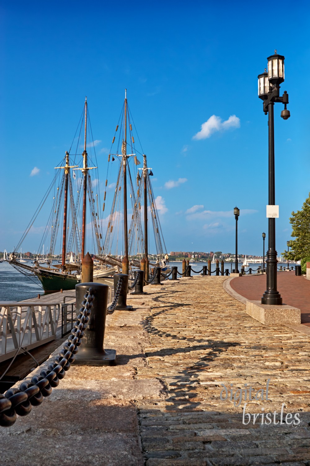 A sunny summer day on Boston's cobblestone harborwalk with tall ships tied up in the harbor