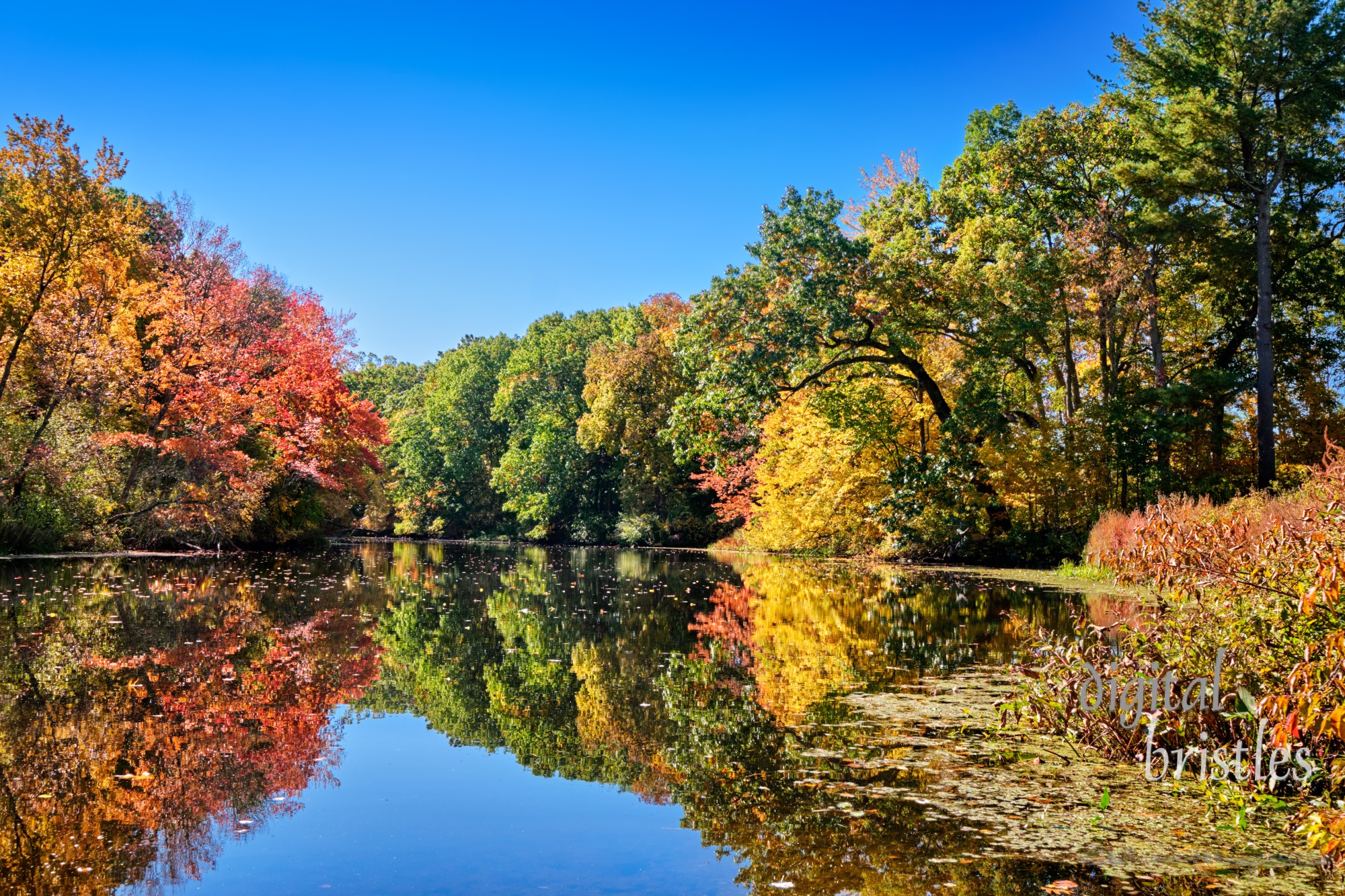 The Charles River Peninsula park, Needham, Massachusets, on a beautiful Autumn day