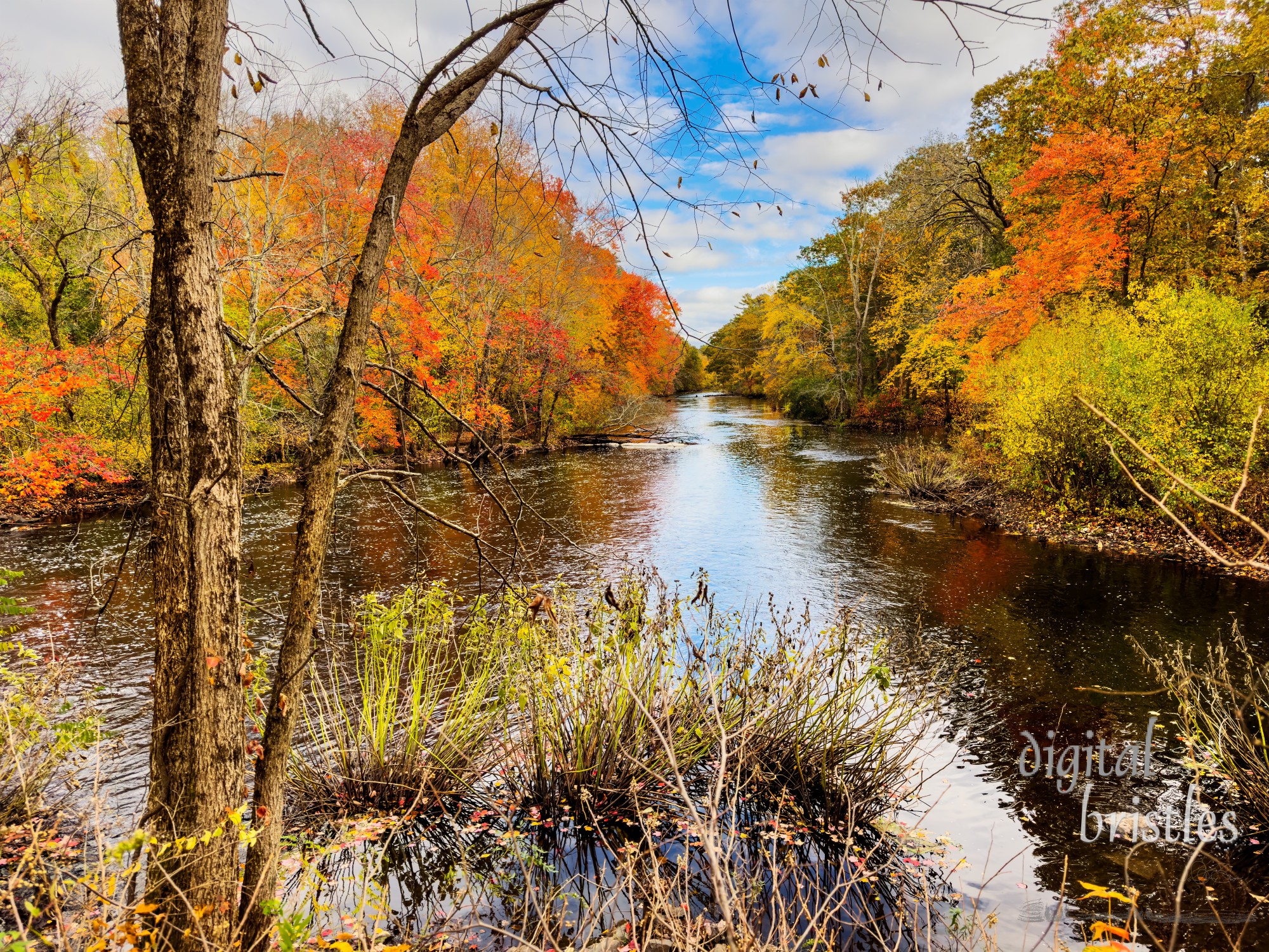 Bright fall day overlooking the Charles River in Dover, Massachusetts