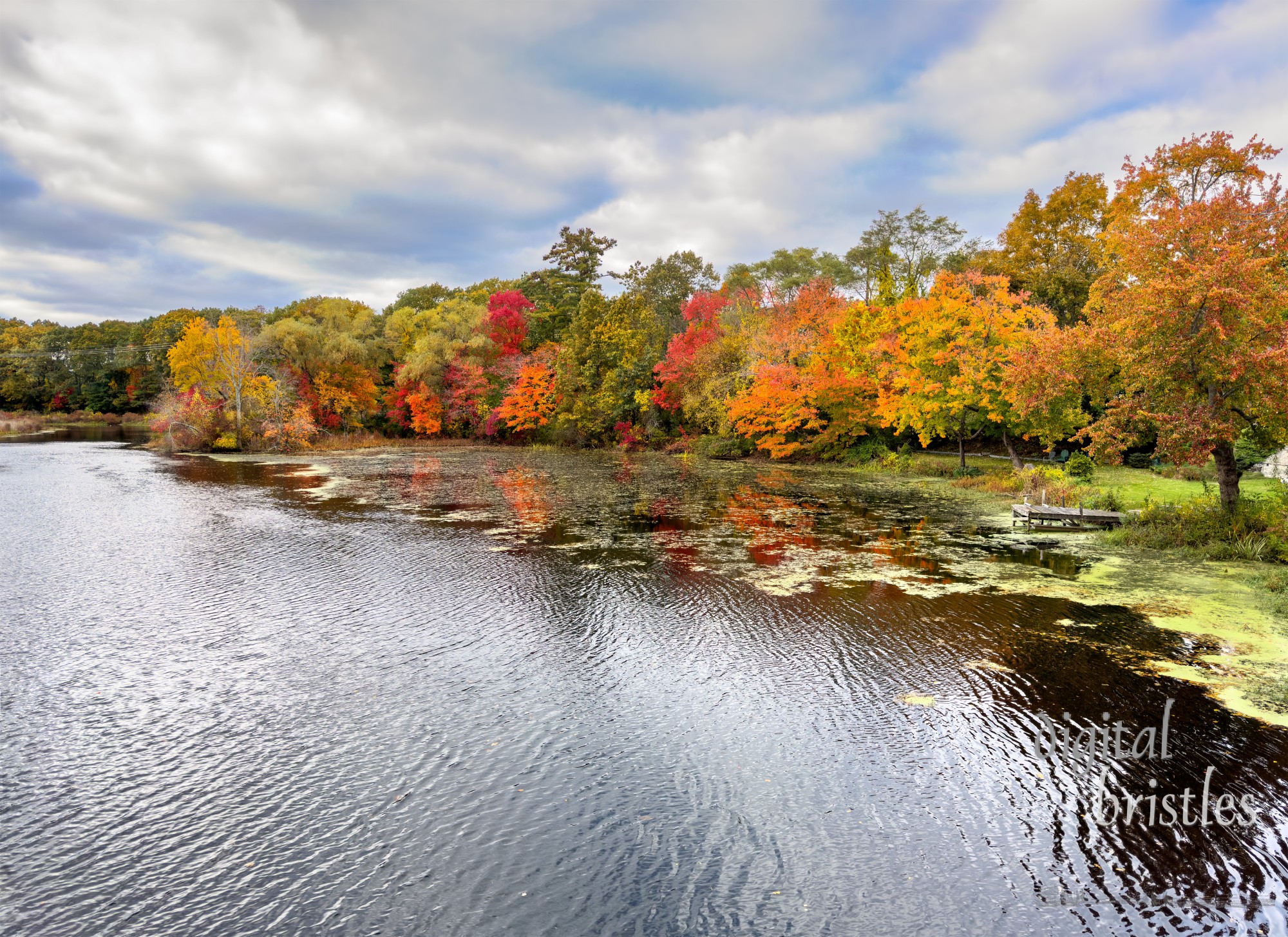 View from the South Street bridge of the Charles River on an Autumn day