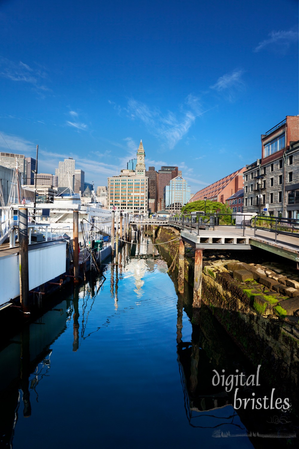 Boats tied up at Long Wharf, Boston, on a summer morning