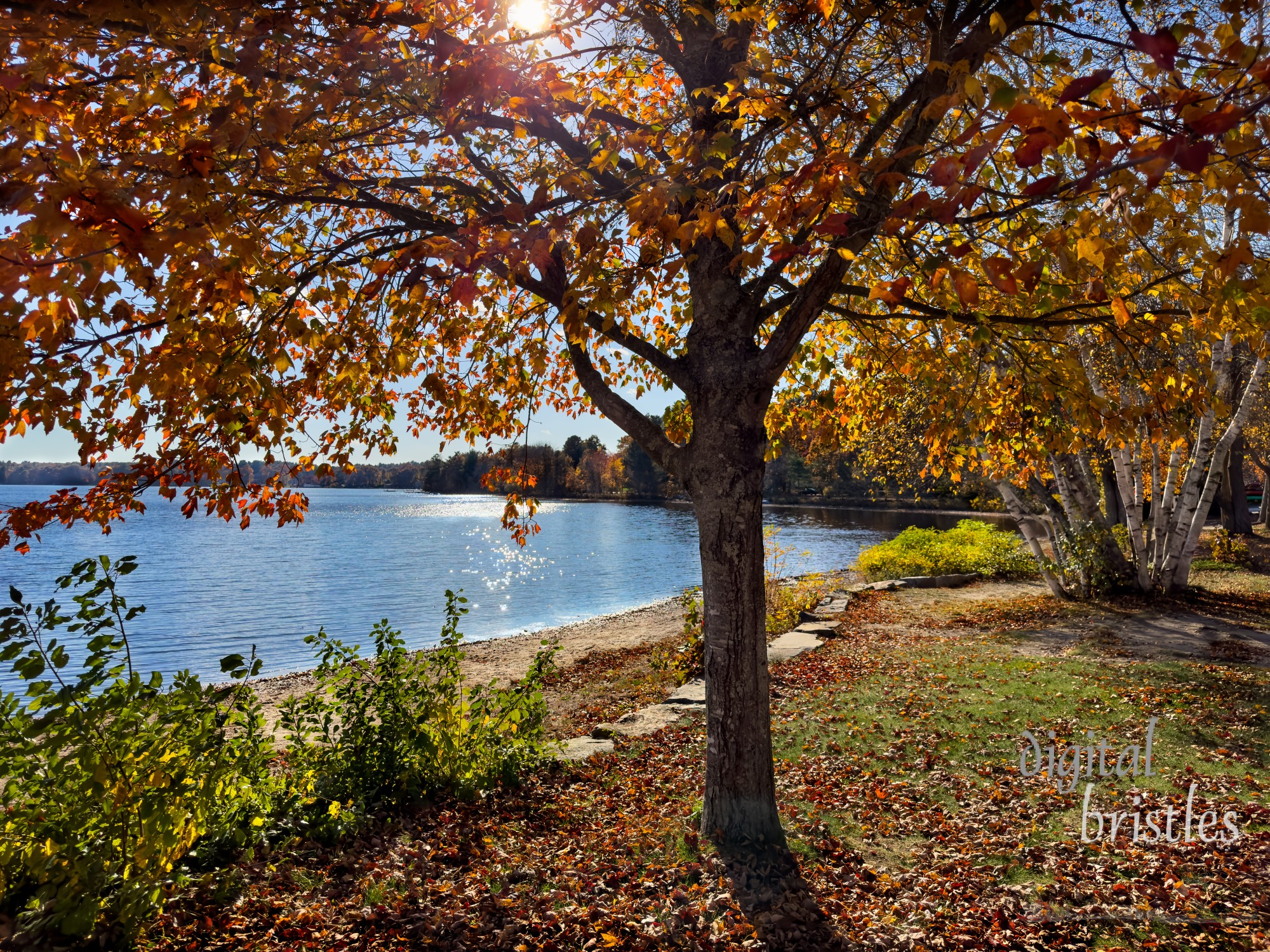 Massapoag Lake in Sharon sparkles in afternoon sunshine and fall foliage