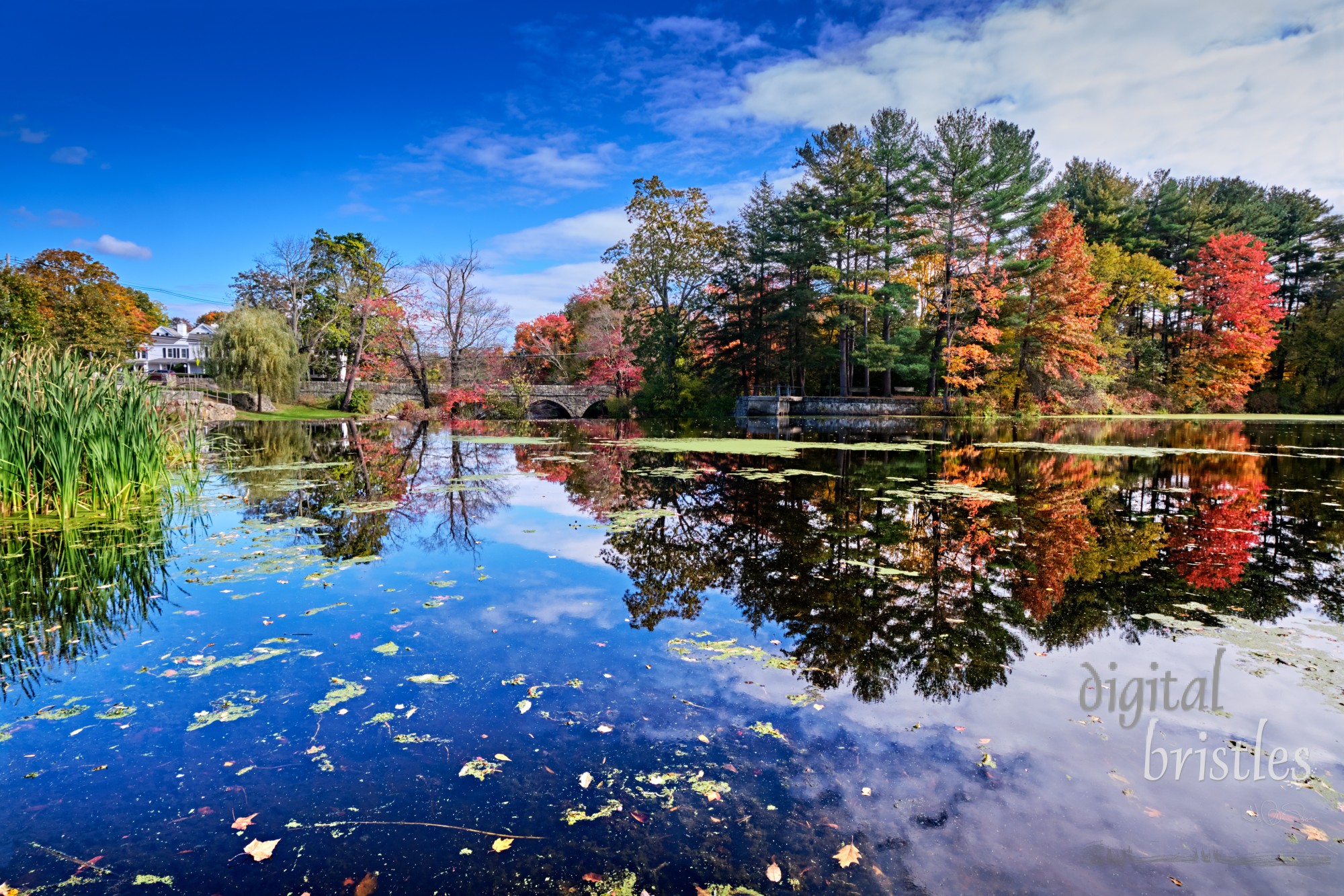 Pond behind the dam over the Charles River in South Natick