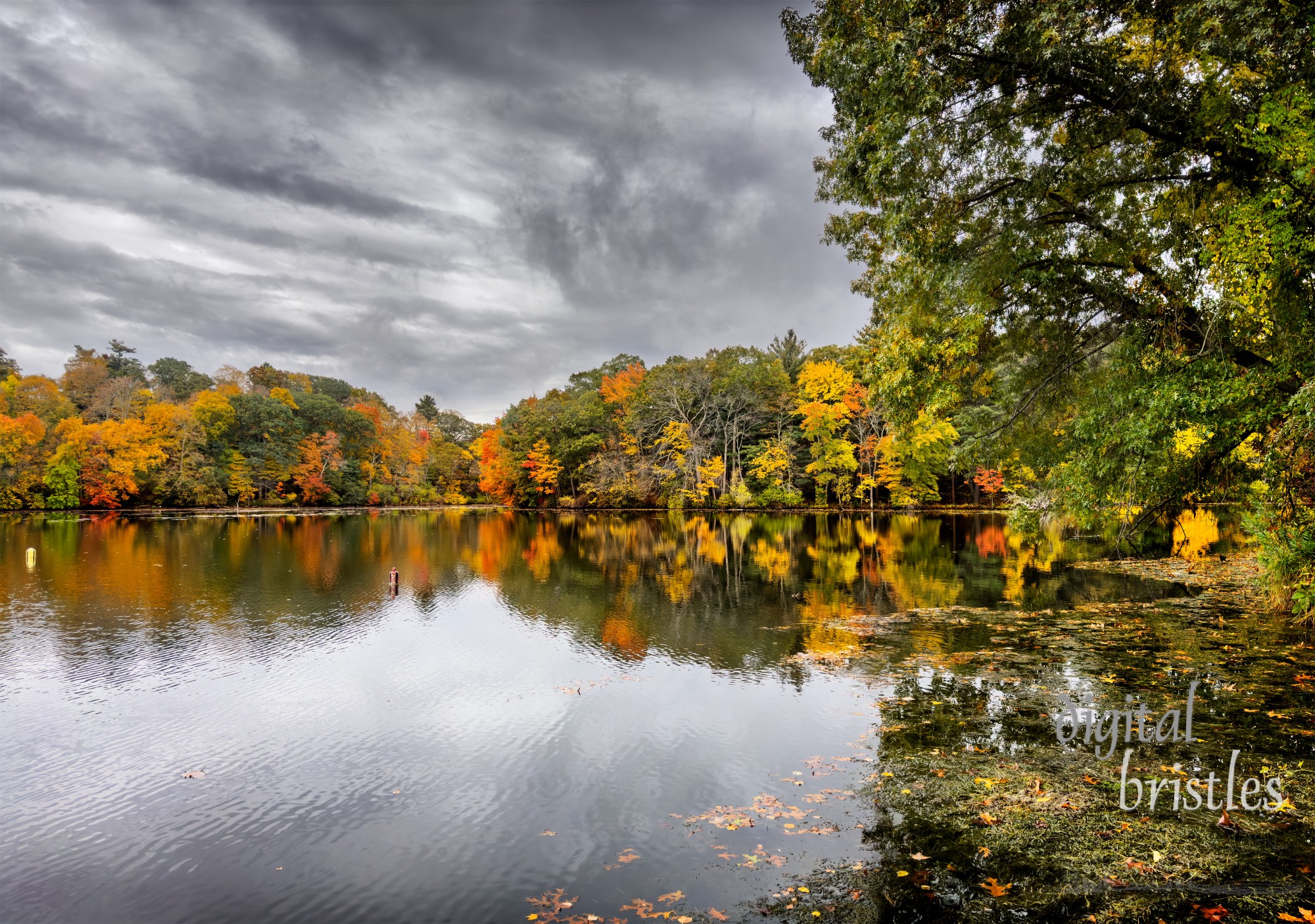 View across Rosemary Lake, Needham, from Chambers Cove on a windy, cloudy Autumn morning