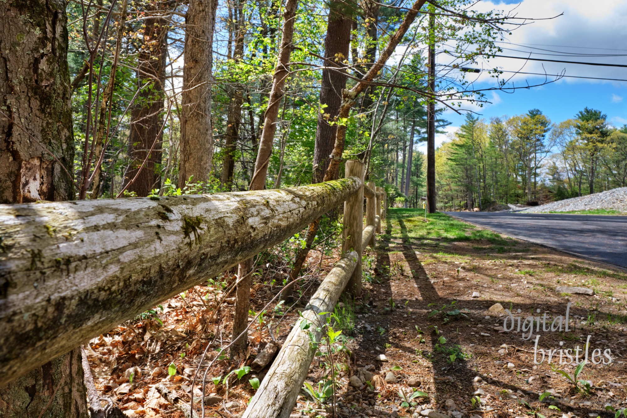 Quiet, wooded, suburban street about to get a new home in vacant lot at right