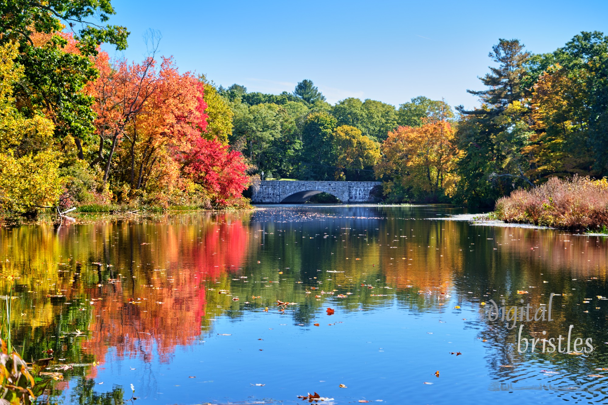 The Charles River Peninsula part in Needham, Massachusetts on a bright and sunny fall day with the Willow Street/South Street bridge flanked by vivid trees