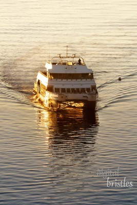 Early morning commuter ferry coming across Boston Harbor to dock