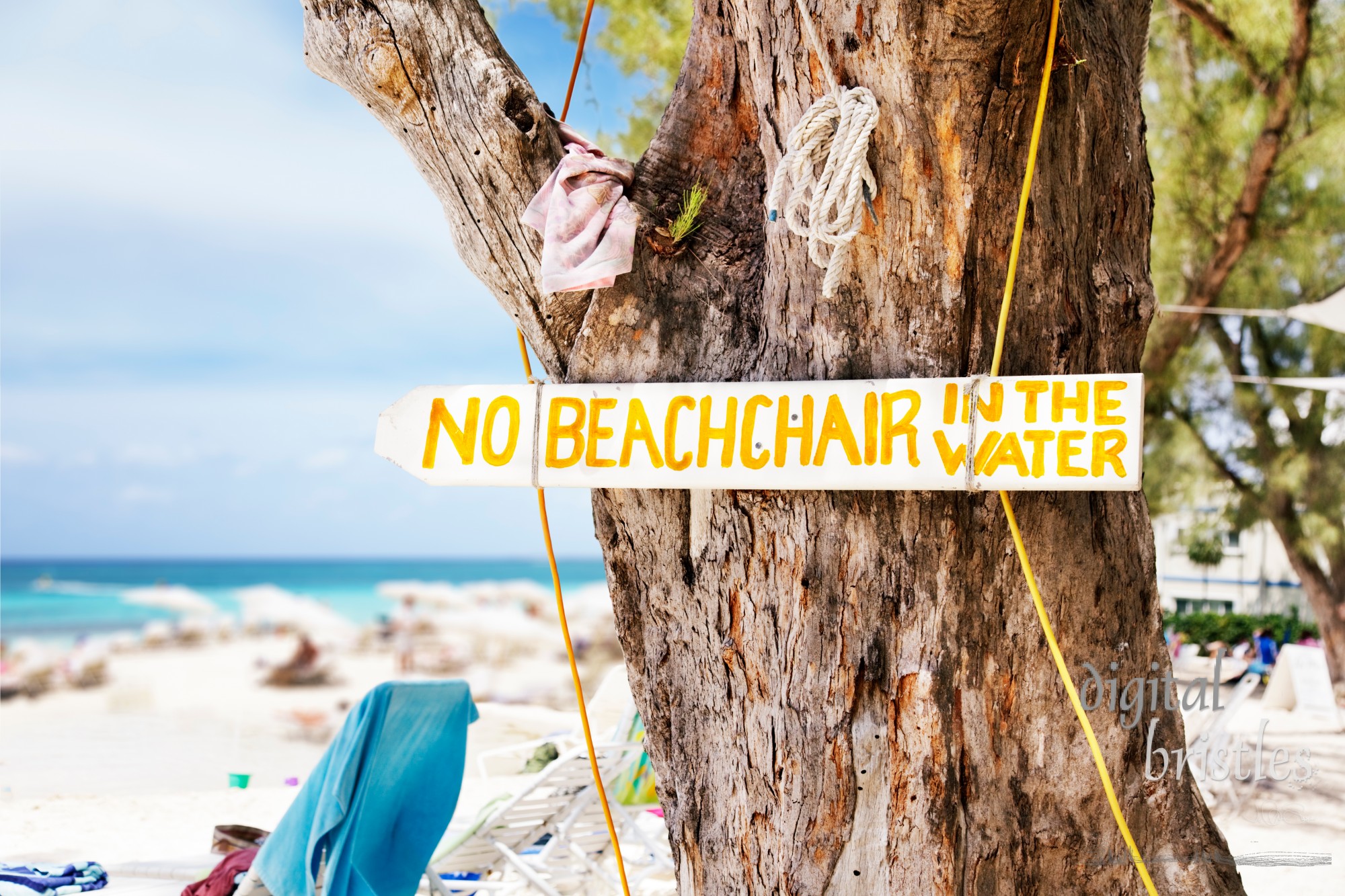 Sign nailed to a tree on the beach at Rum Point, Grand Cayman