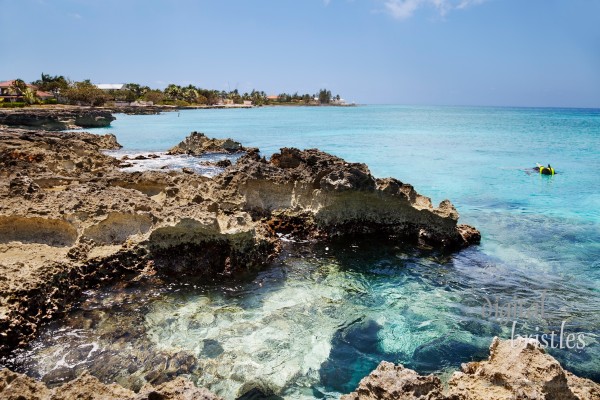 Man explores the reef off the rocky (Ironshore formation) areas of Smith Cove, Grand Cayman. Slight curve to the horizon