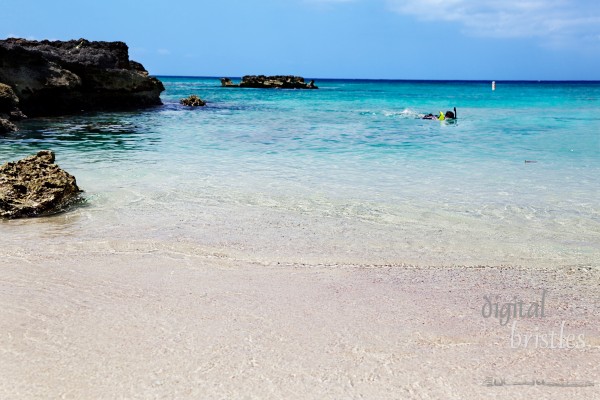 Snorkeler exploring Smith Cove, Grand Cayman