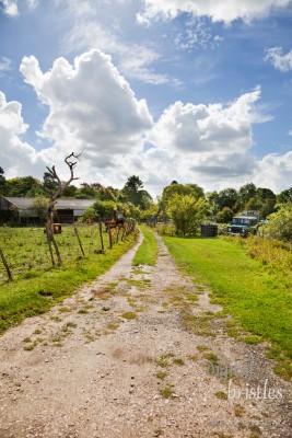 Dirt road through rural farm, Hollingbourne, England