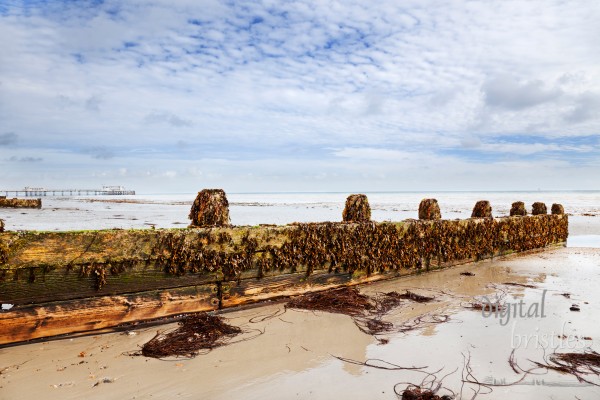 Worthing's Victorian pier in the background with seaweed covered breakwater in the foreground
