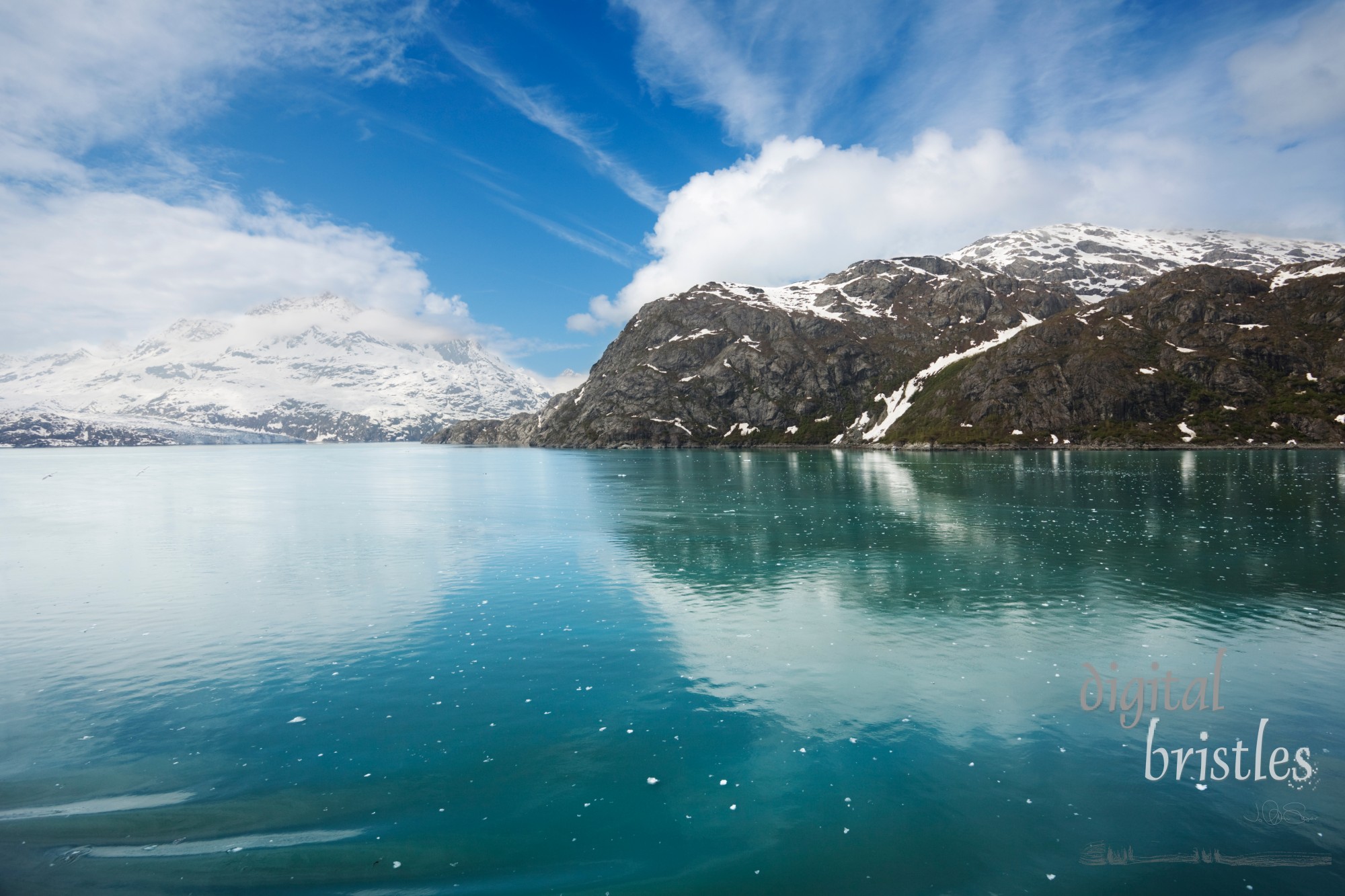 Icy waters of Glacier Bay National Park, approaching Lamplugh Glacier