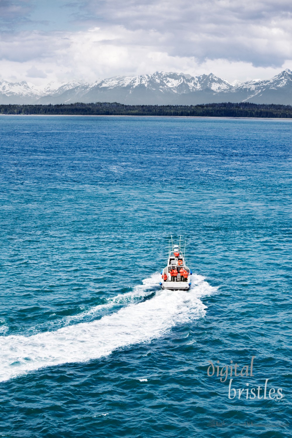 Boat turning away toward the mountains and wilderness, Glacier Bay National Park, Alaska