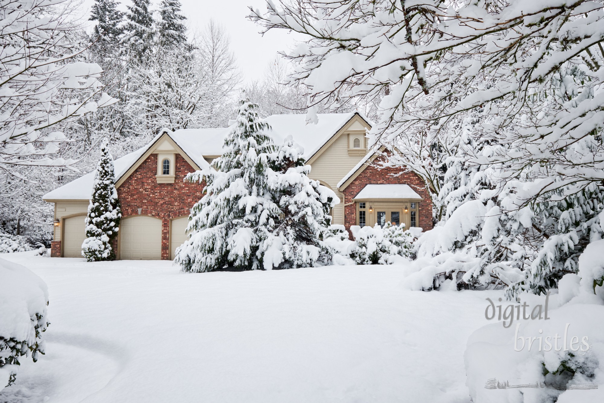Winter snowstorm brings unexpected white blanket to Western Washington