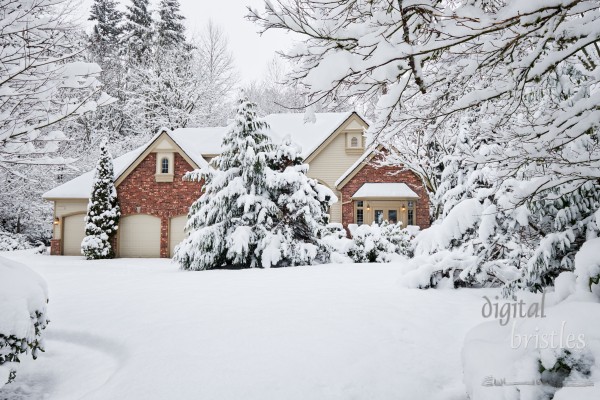 Winter snowstorm brings unexpected white blanket to Western Washington