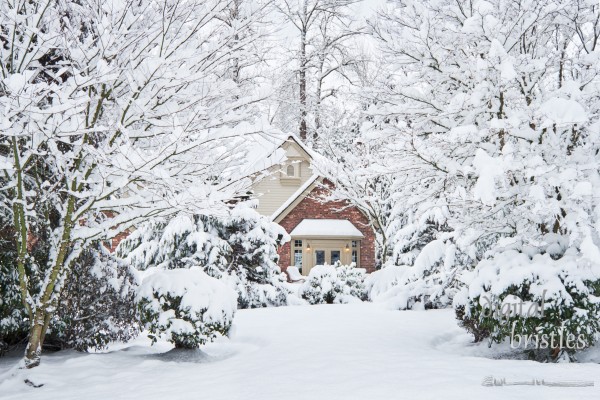 Suburban house surrounded by snow-laden trees in a winter snow storm