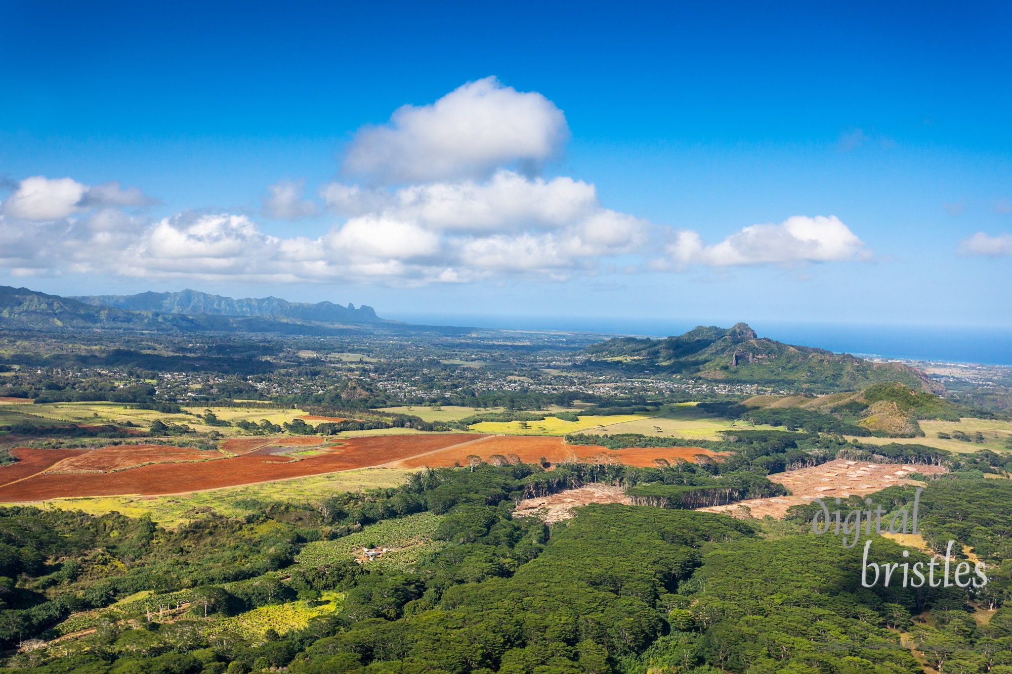 The Kalepa Ridge and Moloaa Forest Reserve dominate the otherwise flat plains