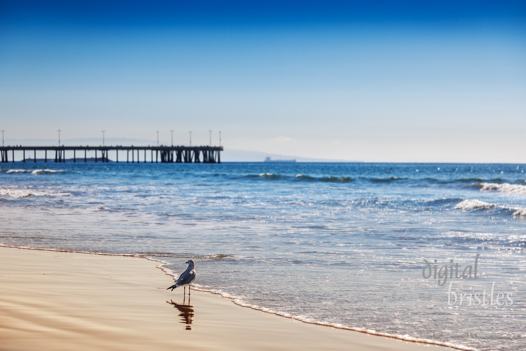 View south from the shoreline on Venice Beach, California on a sunny Christmas afternoon. Venice Beach Pier in the distance