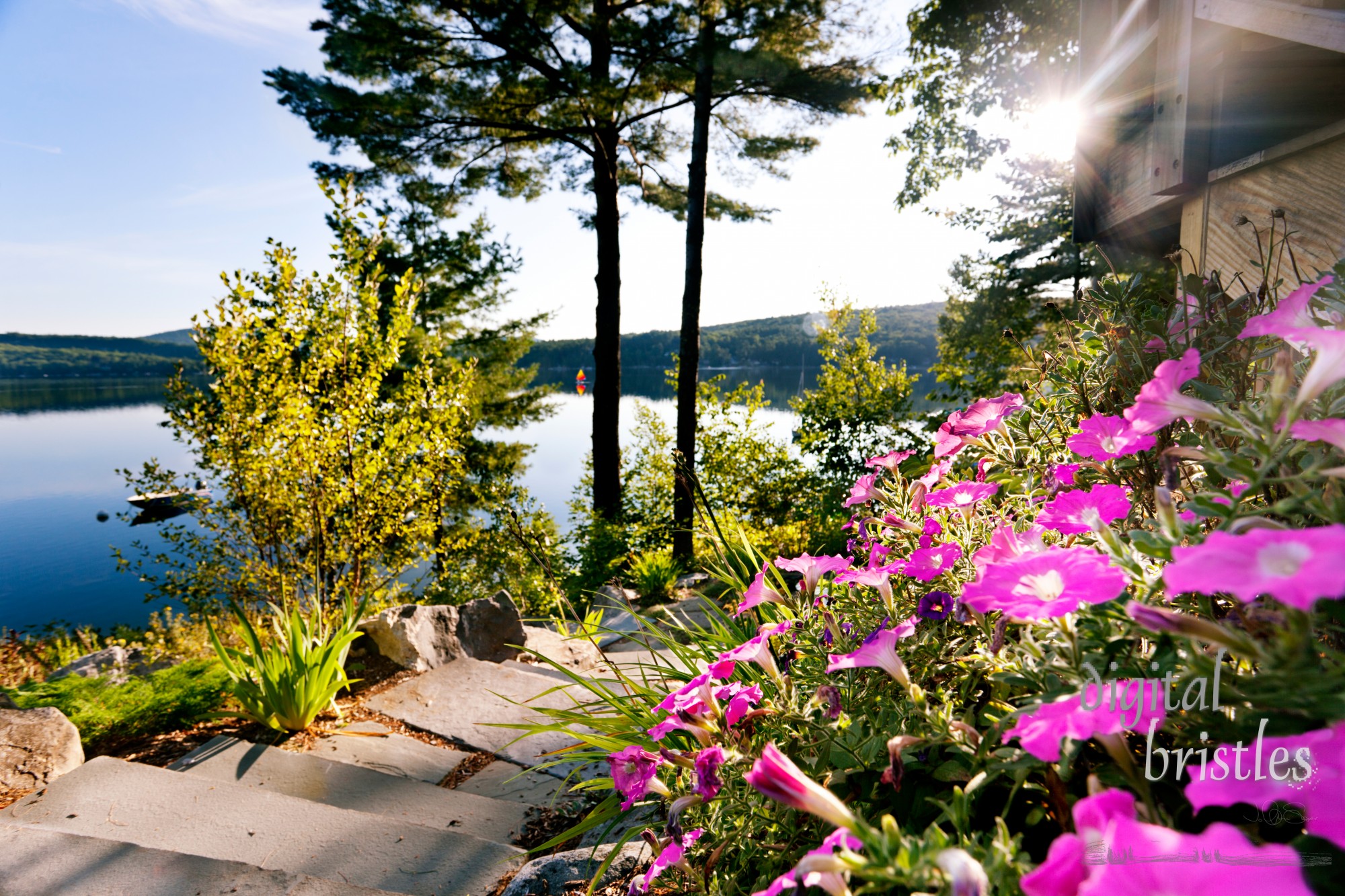 Bright petunias on a patio overlooking a lake