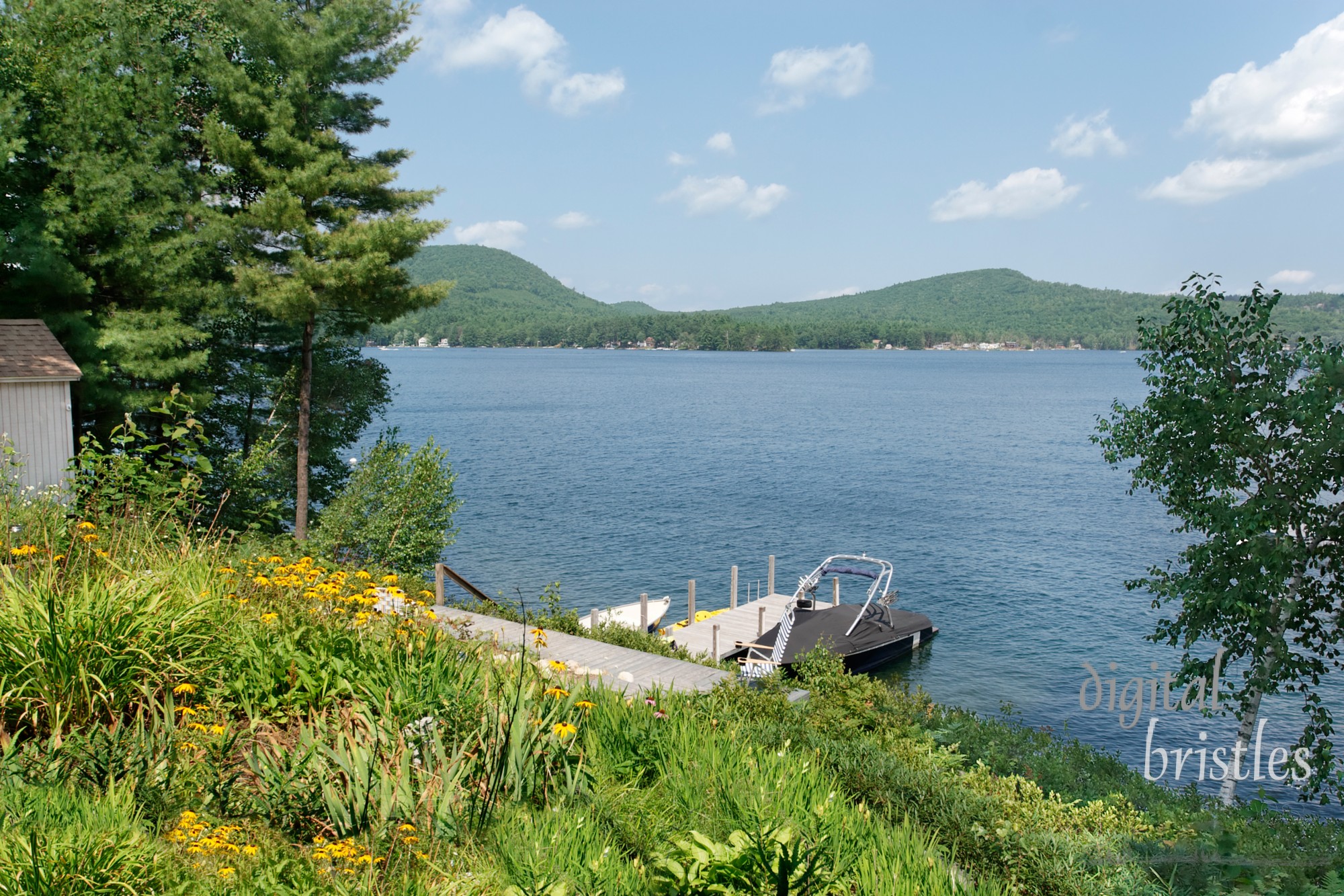 Sunny morning at a New Hampshire lake